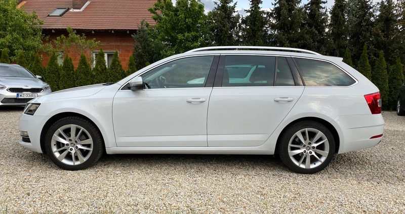 Skoda Octavia cena 65900 przebieg: 159000, rok produkcji 2019 z Sulechów małe 154